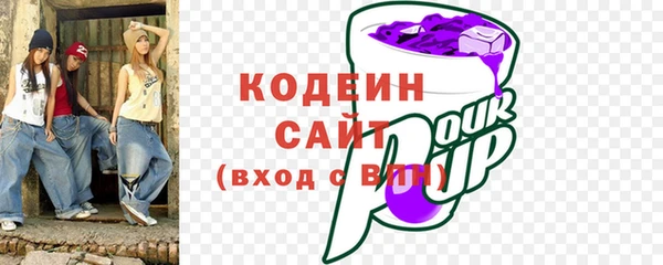 хмурый Богородицк